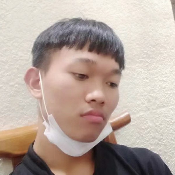 犀牛向漂亮的照片