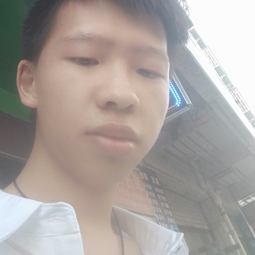 紫菜霸气的照片