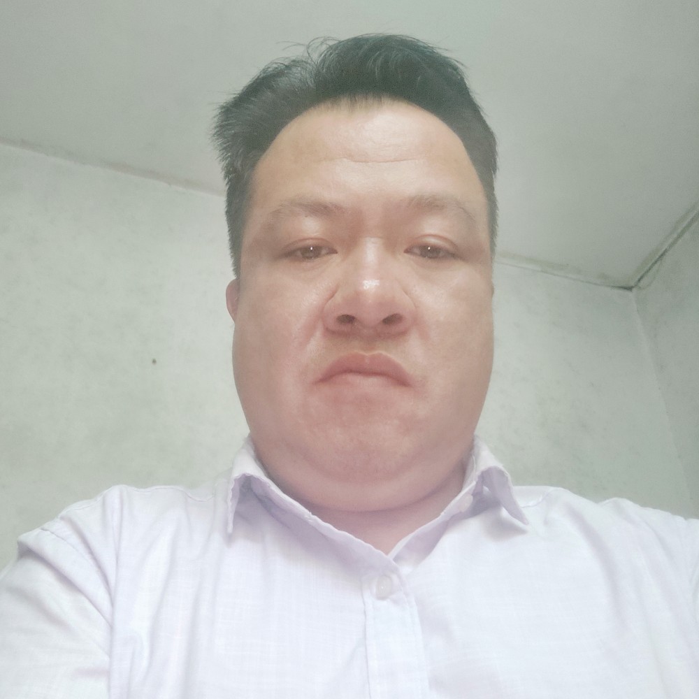 鸿图大展的照片