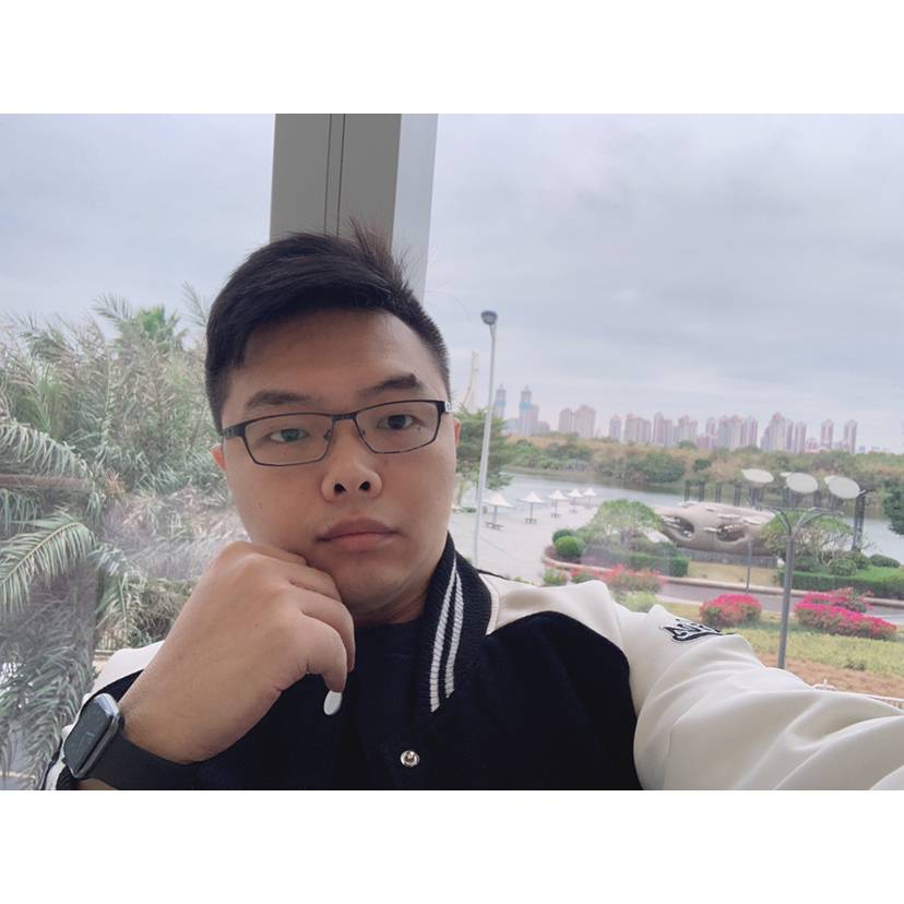 云中的竹蜻蜓的照片