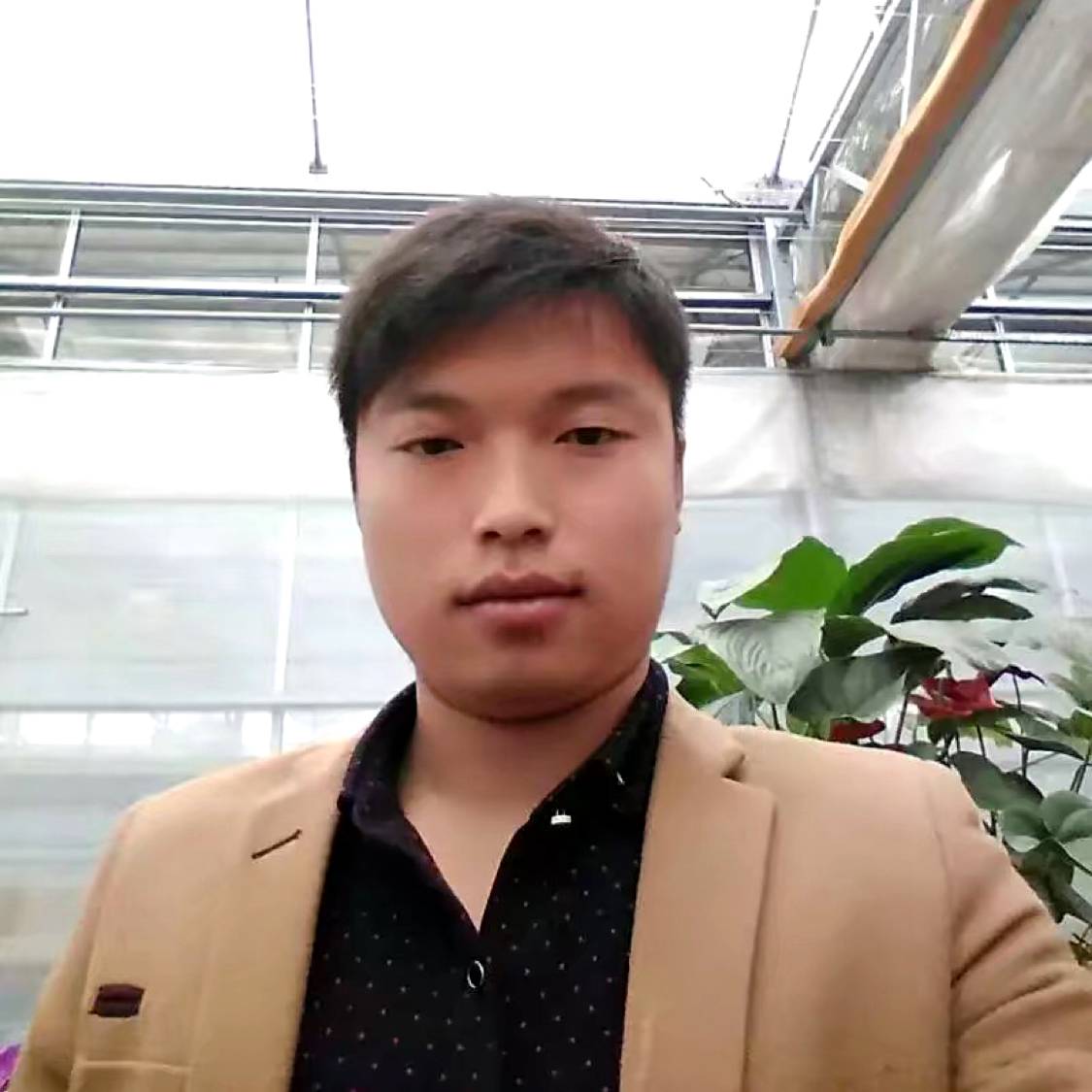 树叶踢怕孤单的照片