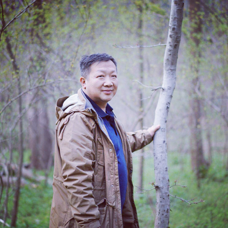 不拒不迎的照片
