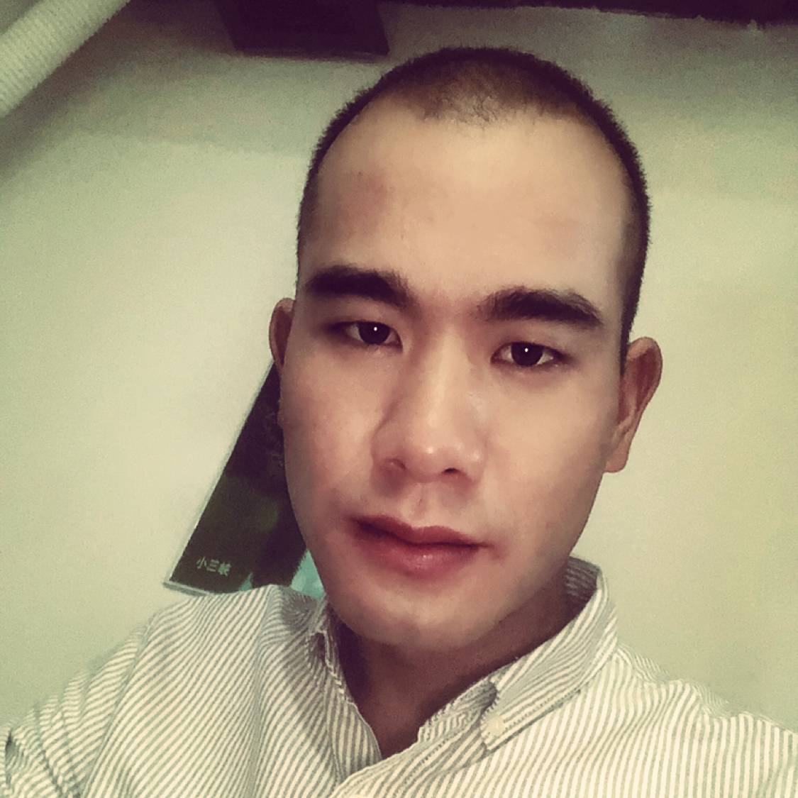 迷乱 浮生的照片