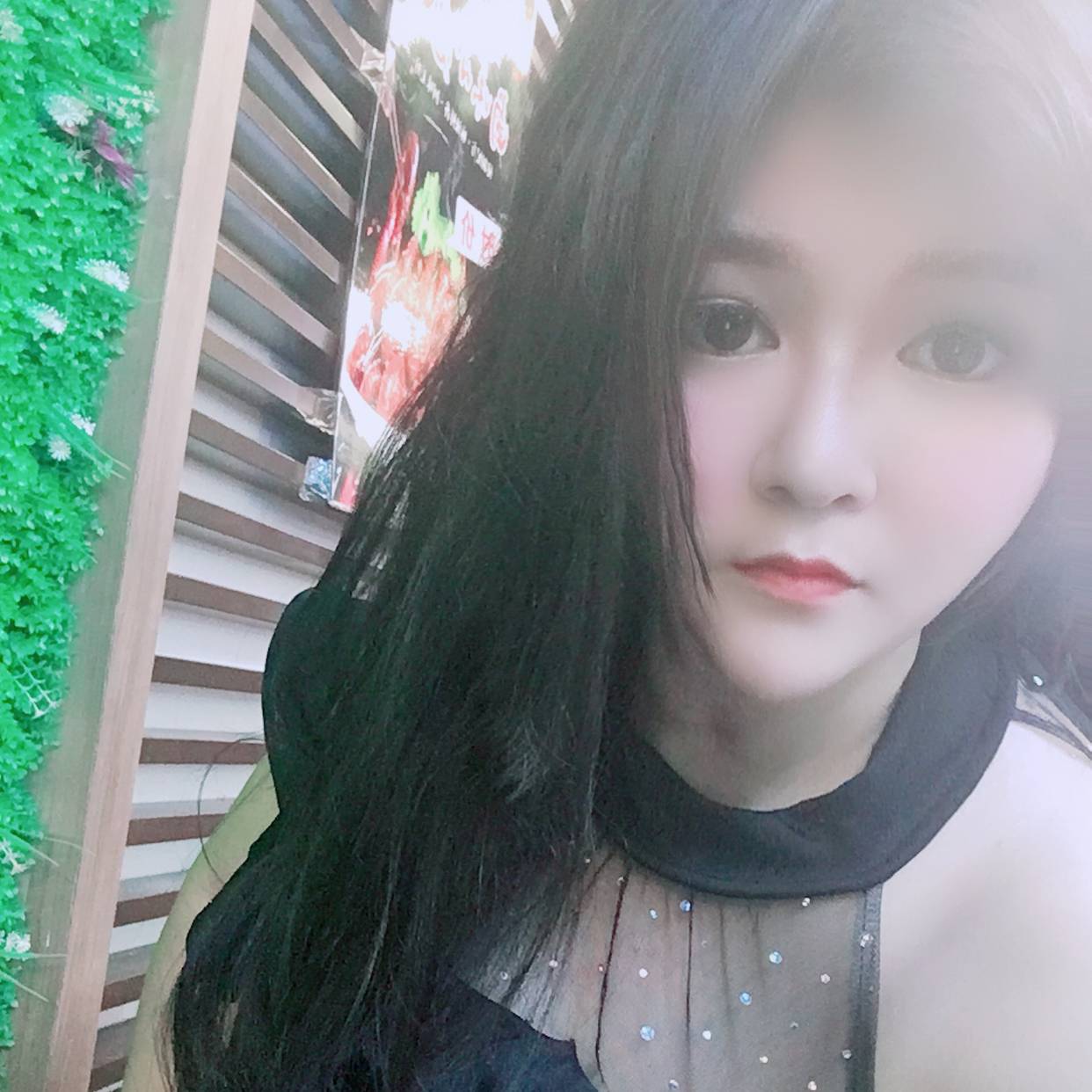 绿草说诚心的照片