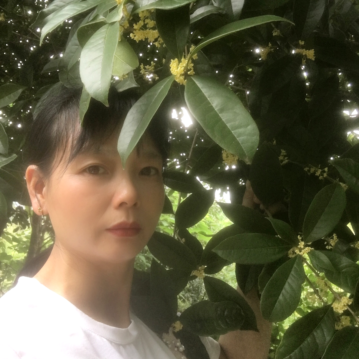 不过人间的照片
