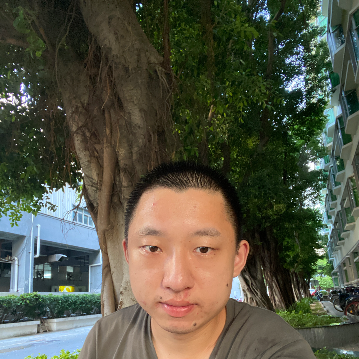 花生拾忆机智的照片