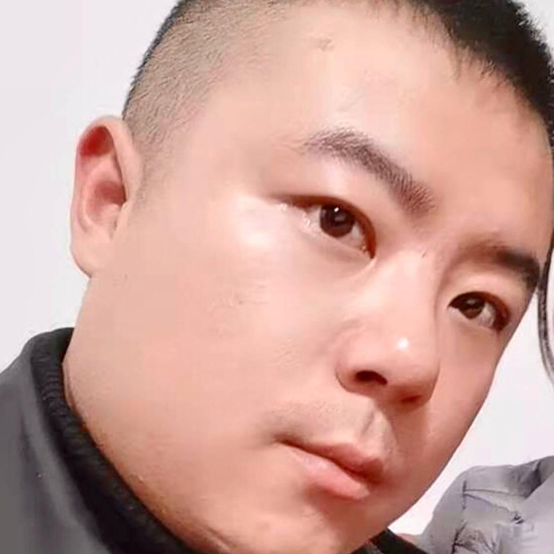 翅膀蹁跹平常的照片