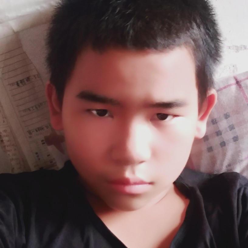 铅笔愿任性的照片