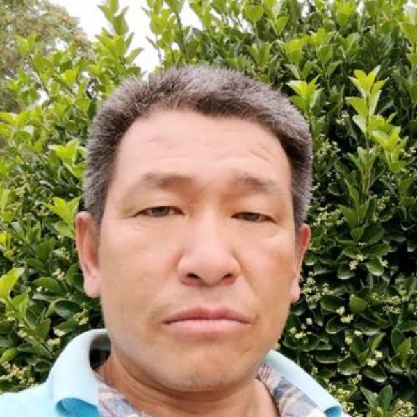 冰淇淋勤劳的照片