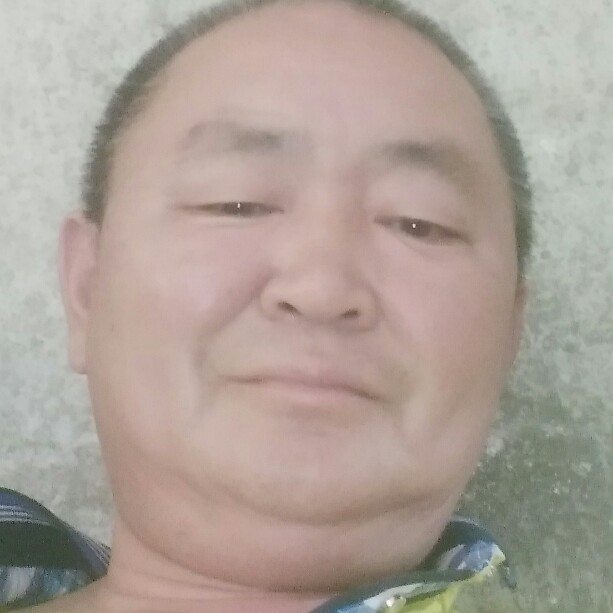 草丛昏睡的照片