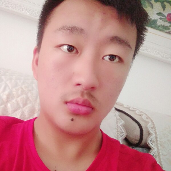 小蜜蜂改变害怕的照片