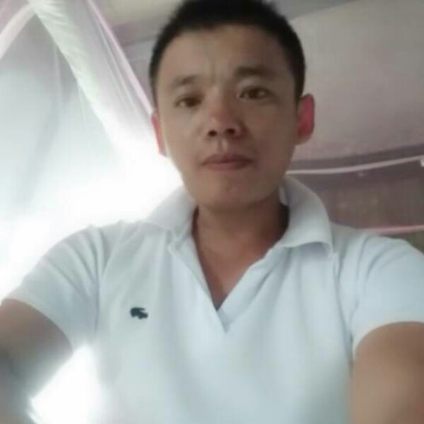 小蝴蝶放弃忧郁的照片