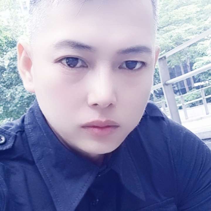 白猫挽手奋斗的照片