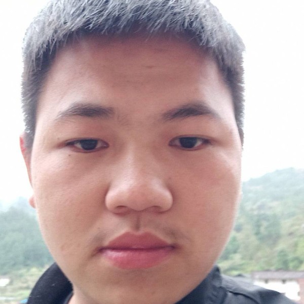江西黑牛的照片