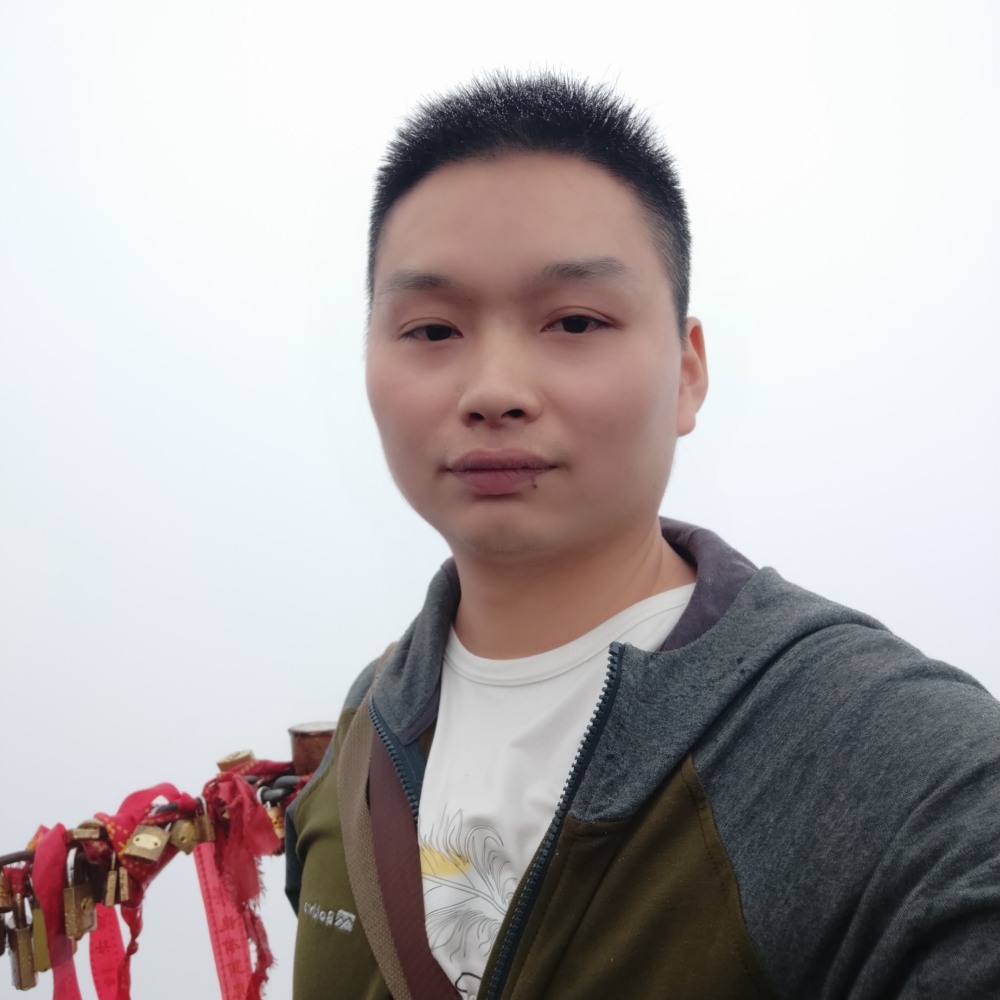 灰狼拉长的照片