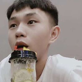 鹿，晗的照片
