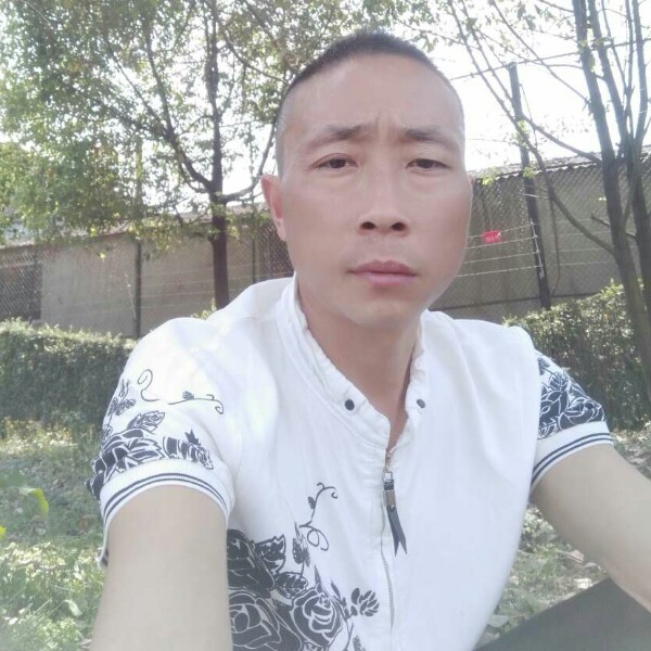 永不变心。的照片