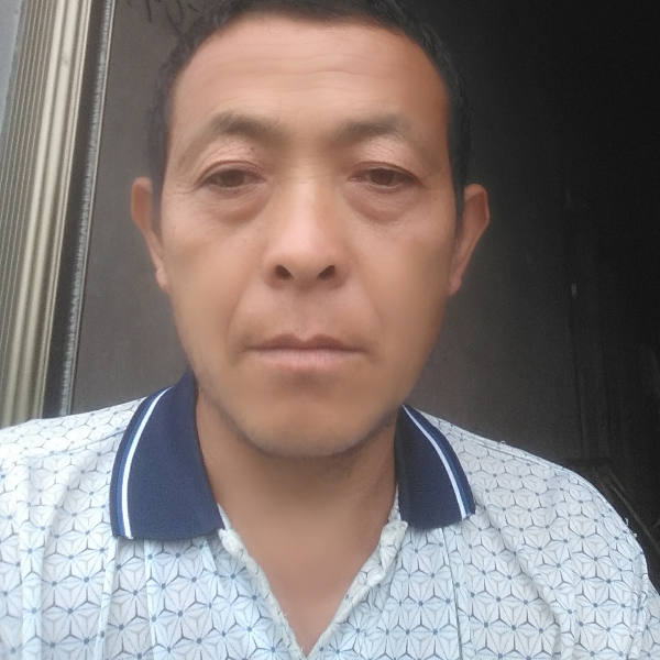 欢呼小松716鼠的照片