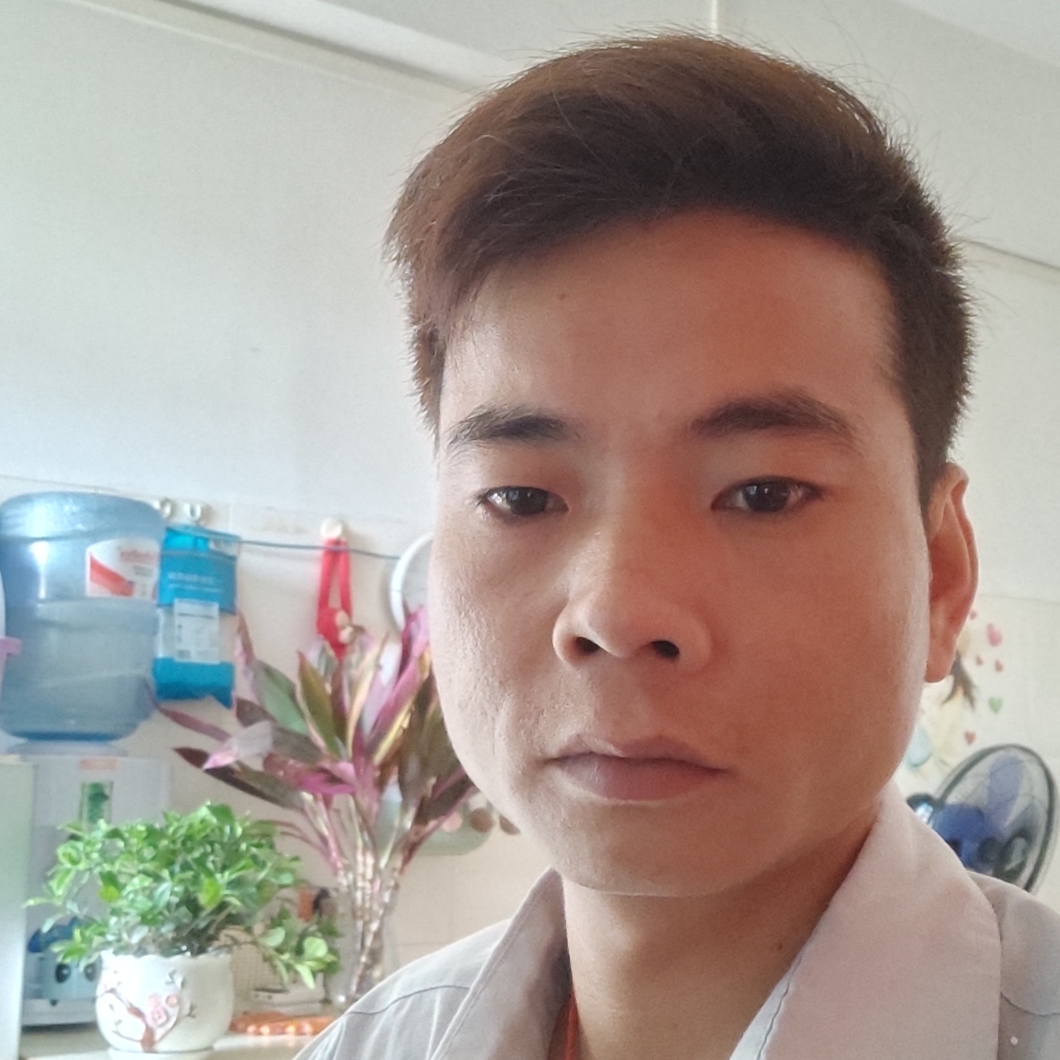 哈密瓜請舒适的照片
