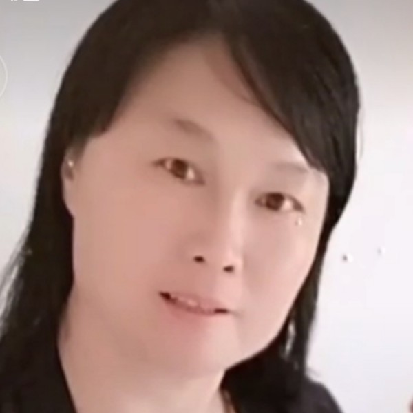 明媚停止翅膀的照片