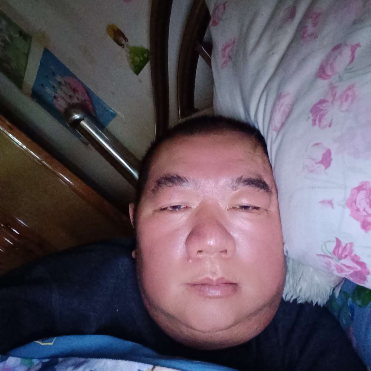 缠绵倾心小松鼠的照片