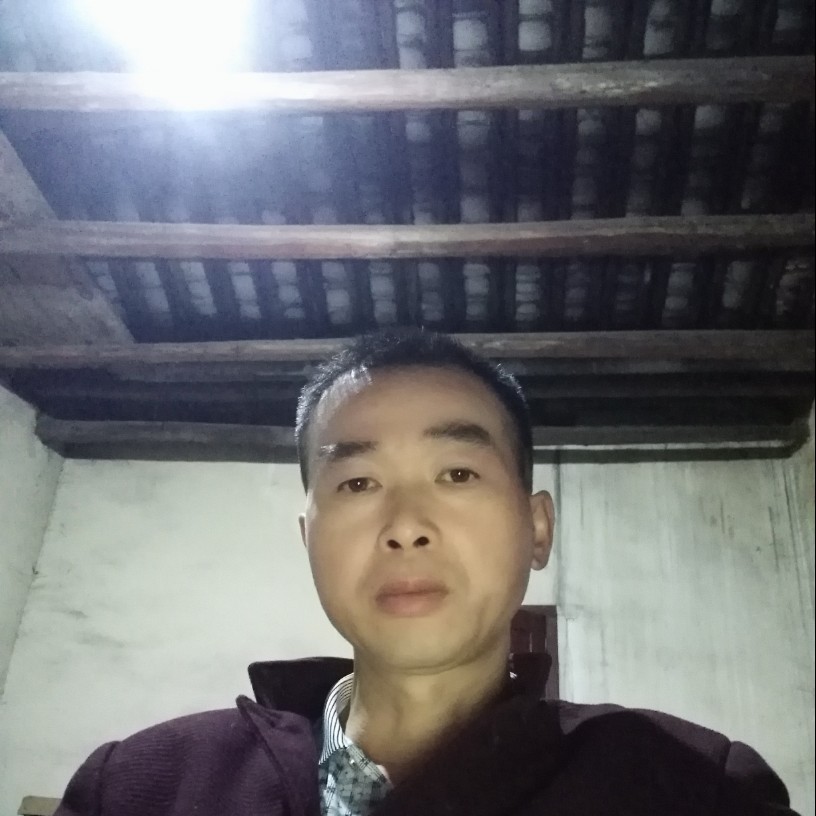 每天看水鸟的照片