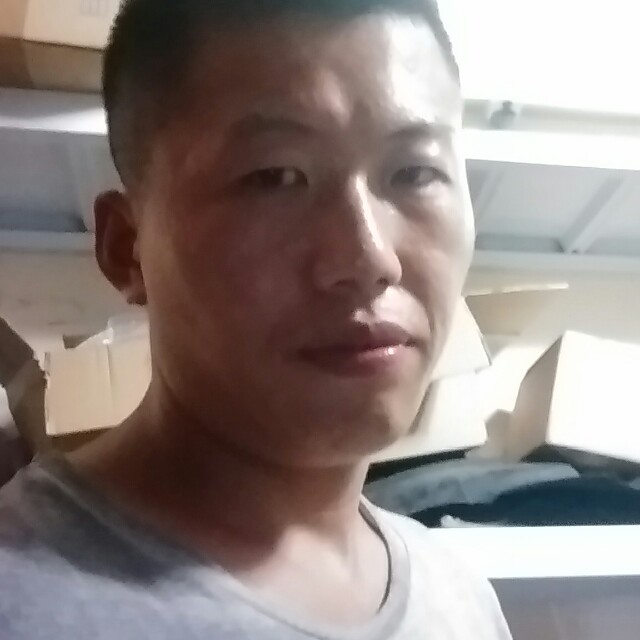 安静狗的照片