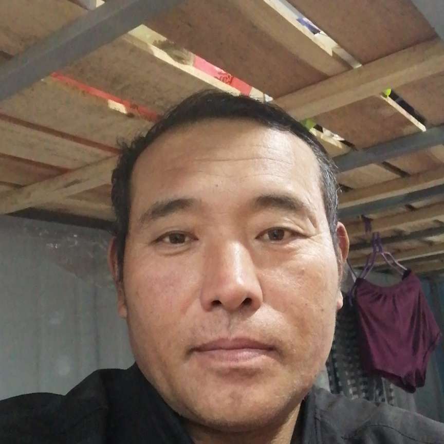 儒雅还荼蘼的照片