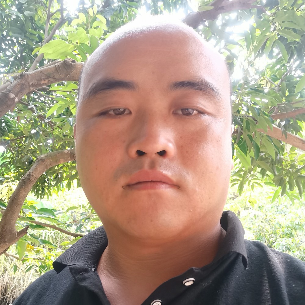 悲伤离歌的照片