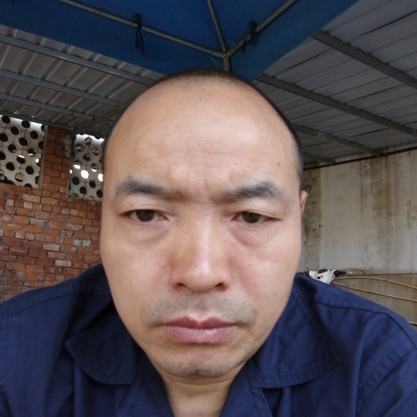 专注那鼠标的照片