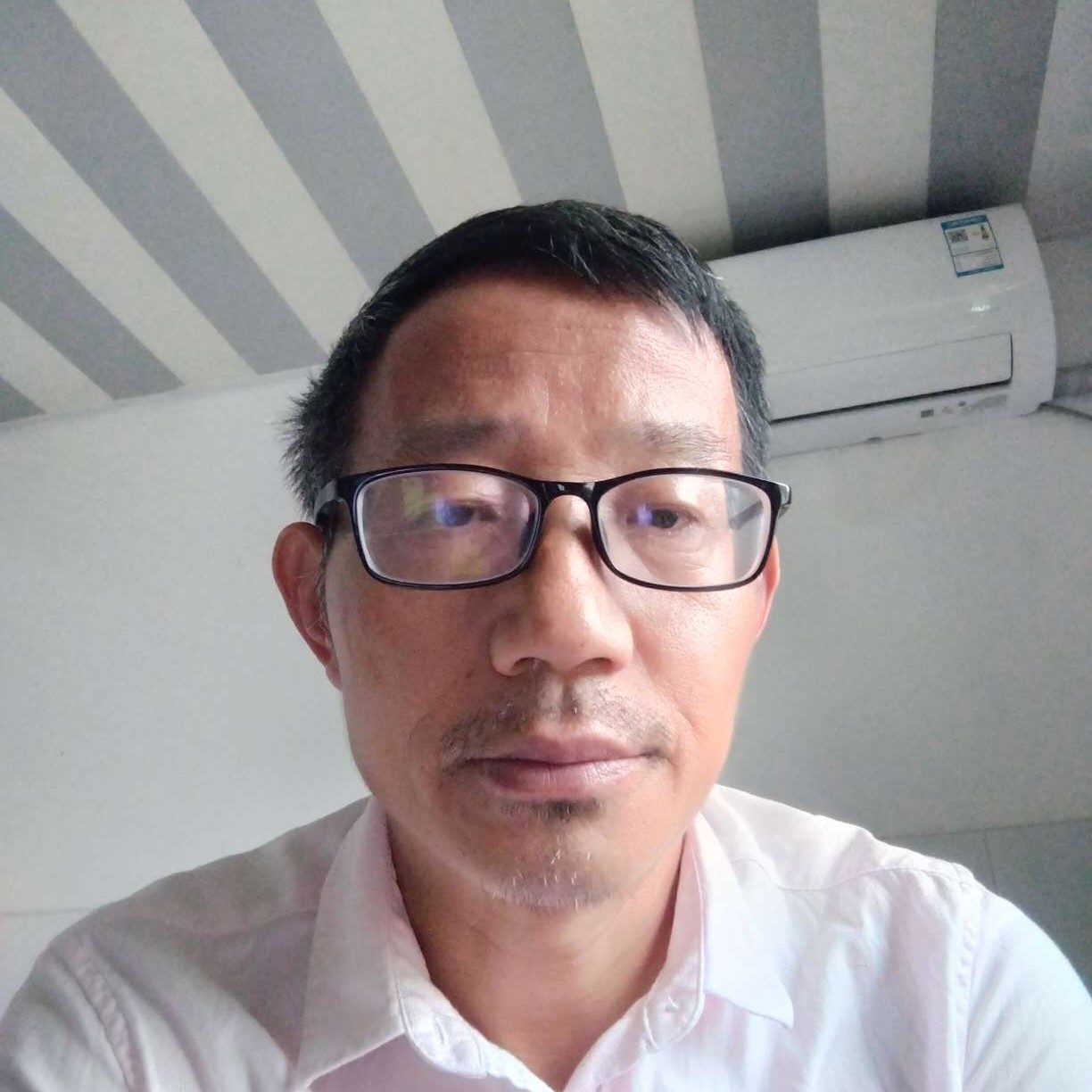 暖阳漫步糊涂的照片
