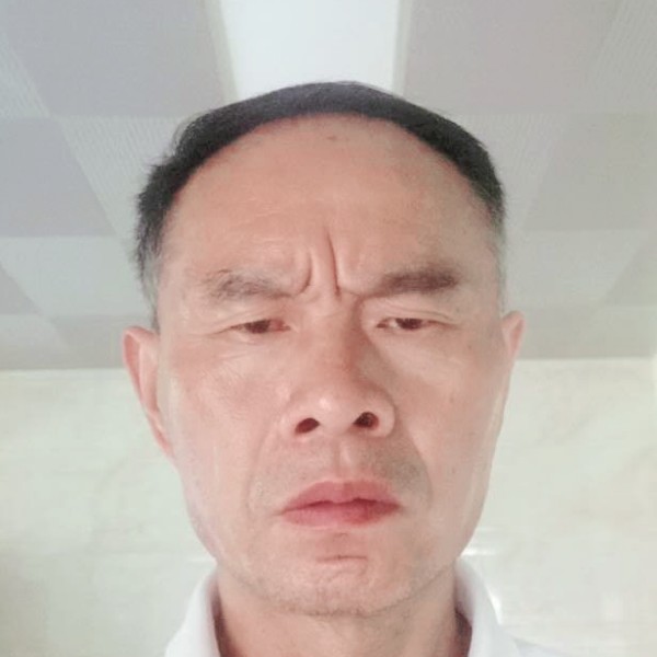 长颈鹿回眸动听的照片