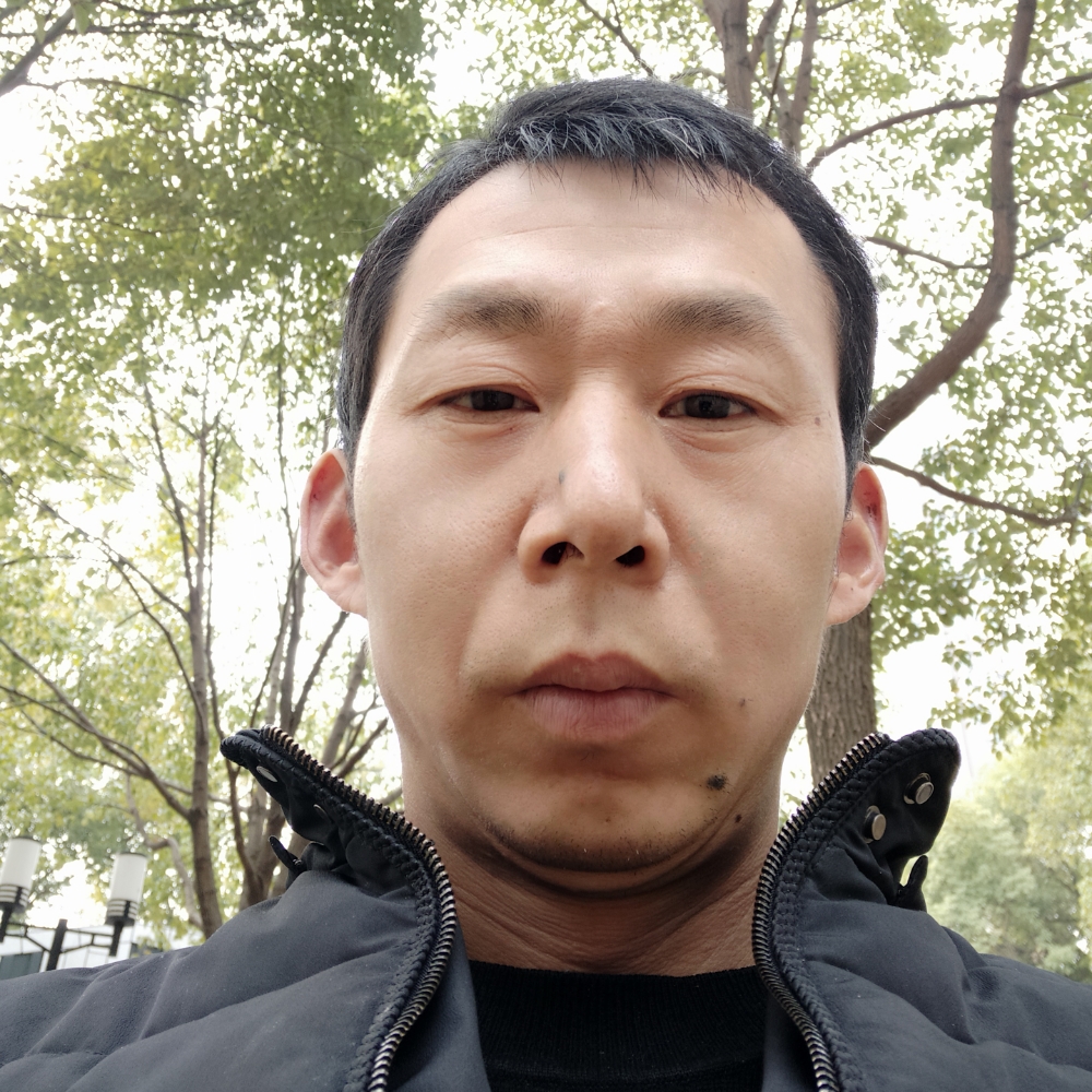 含蓄与鸡的照片