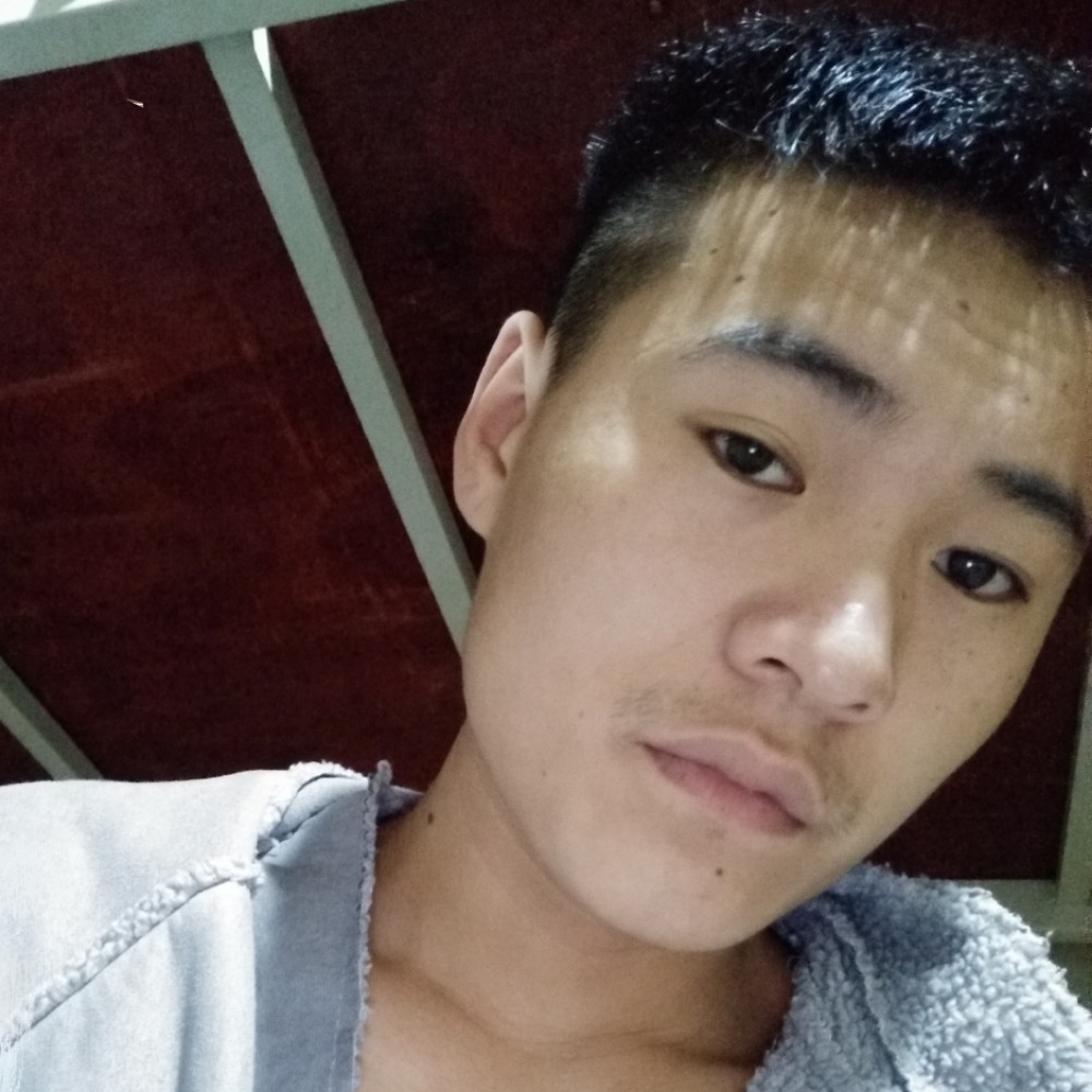 二杨，的照片