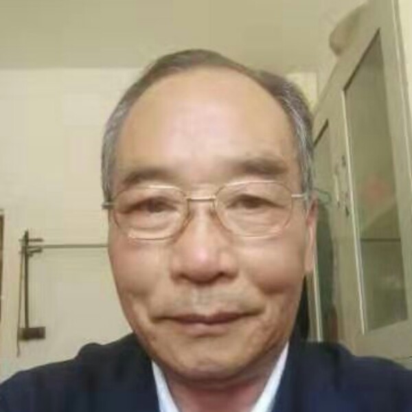 斯文打南鸢的照片