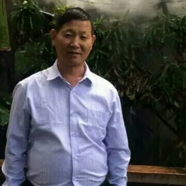 玉米冷静的照片