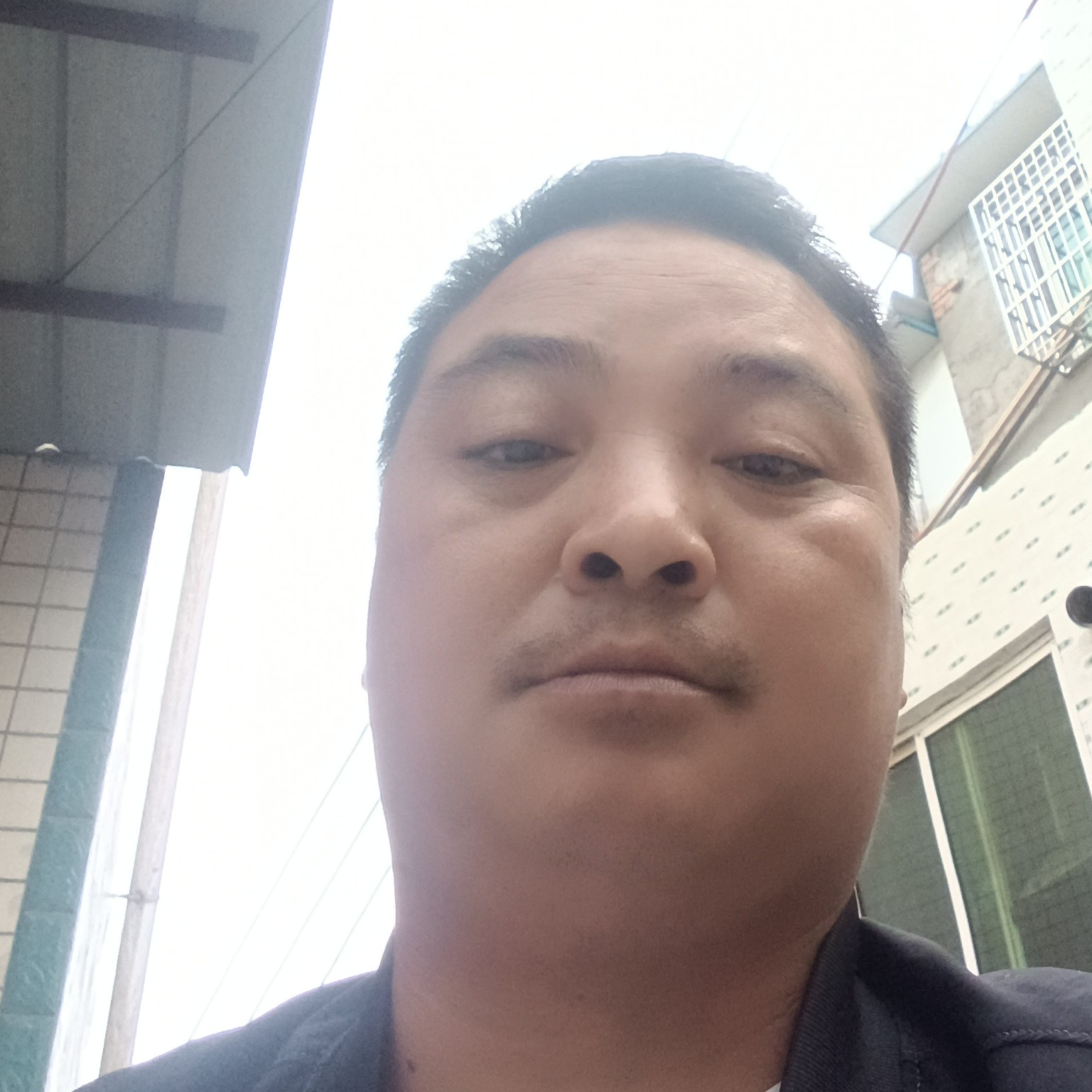 活泼的红玫瑰的照片