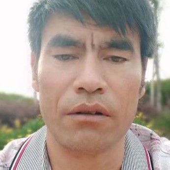 星星苦恋刻苦的照片