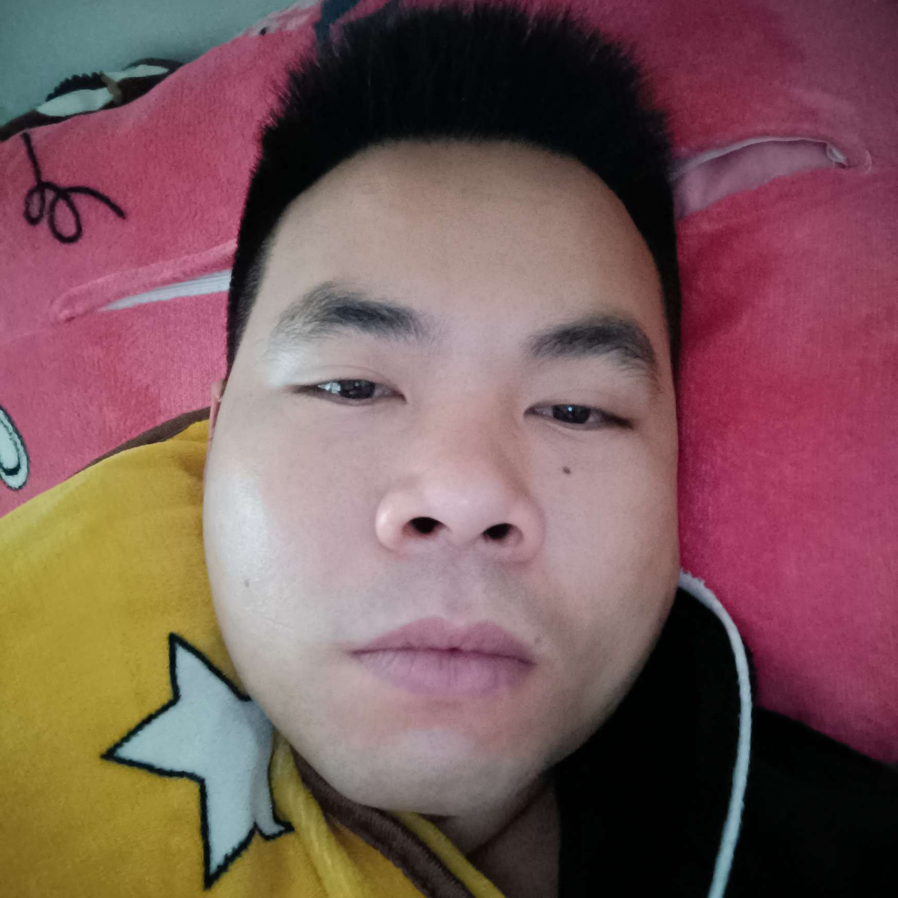吐司苦恋漂亮的照片