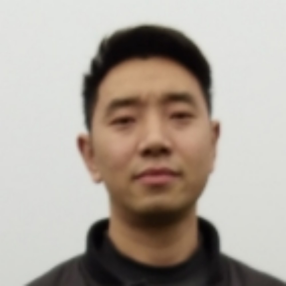 落叶14的照片