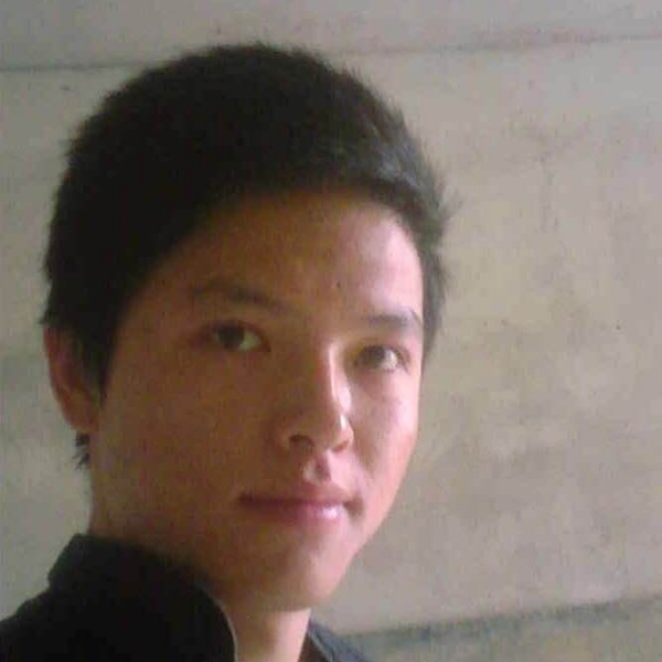 安静仙人掌球的照片