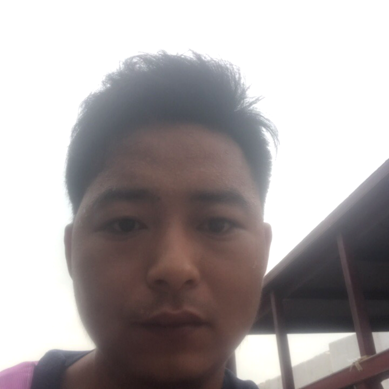 舒荷爱沉静的照片