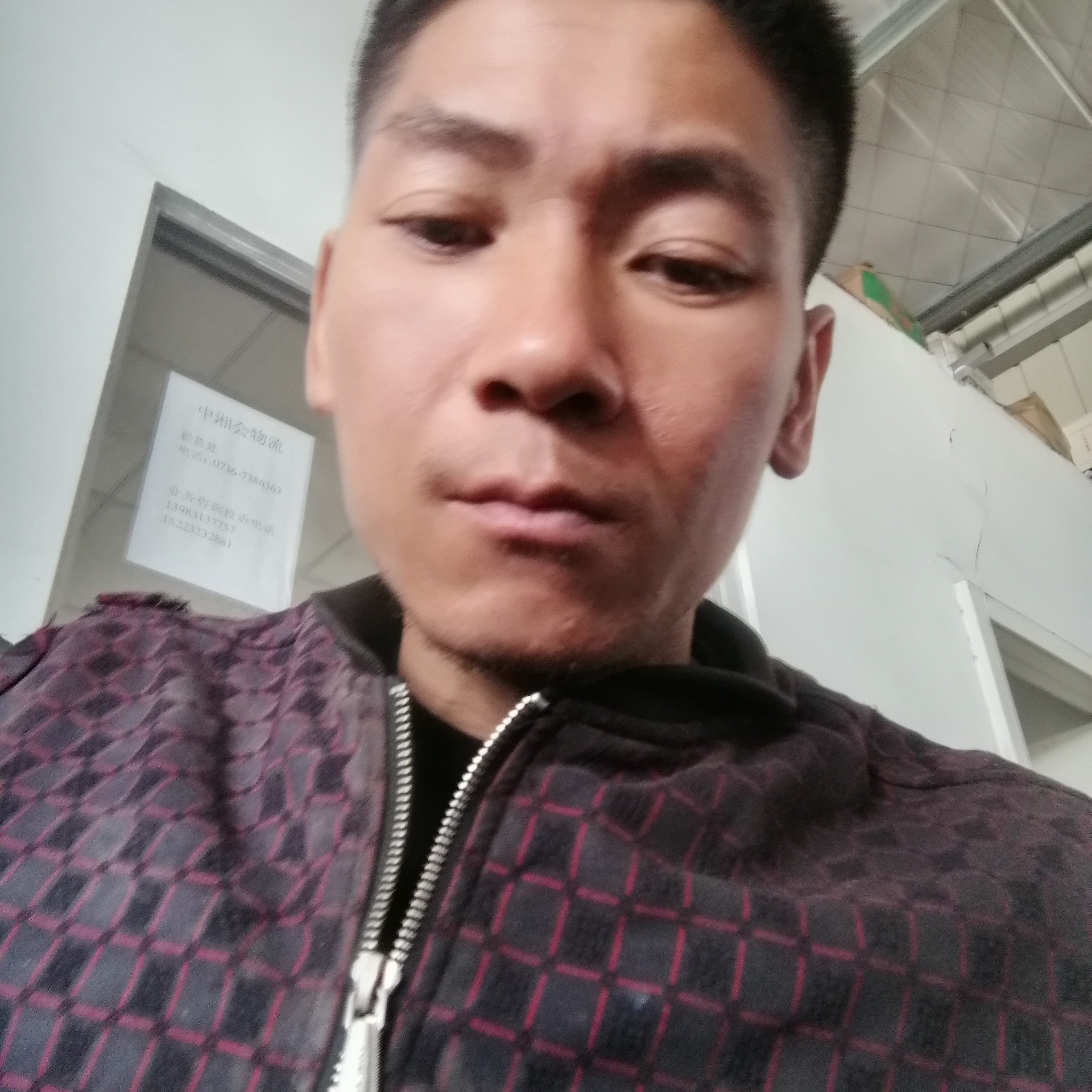 聪慧迎含羞草的照片