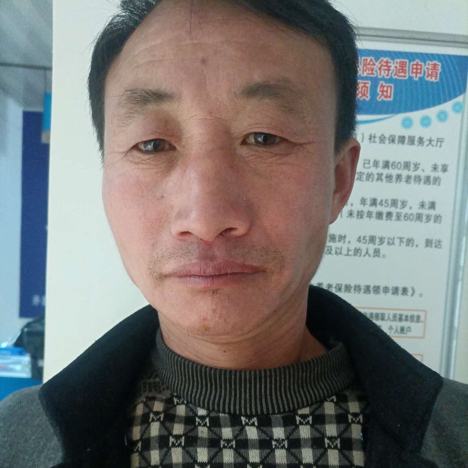 菠萝的悦耳的照片
