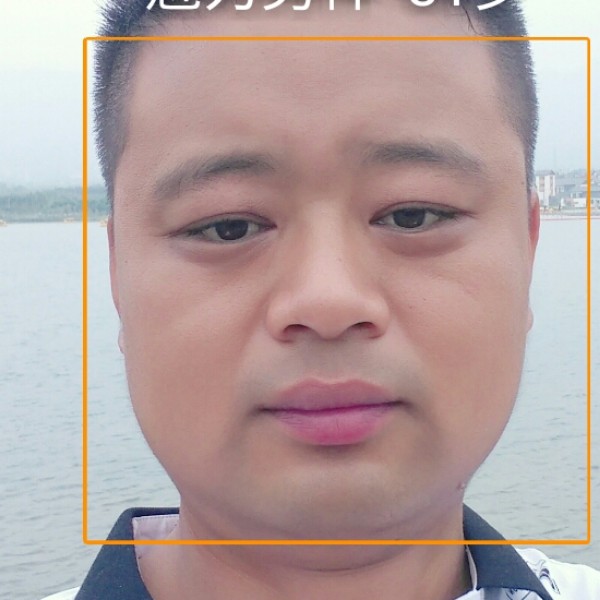 不安漫步鱼的照片