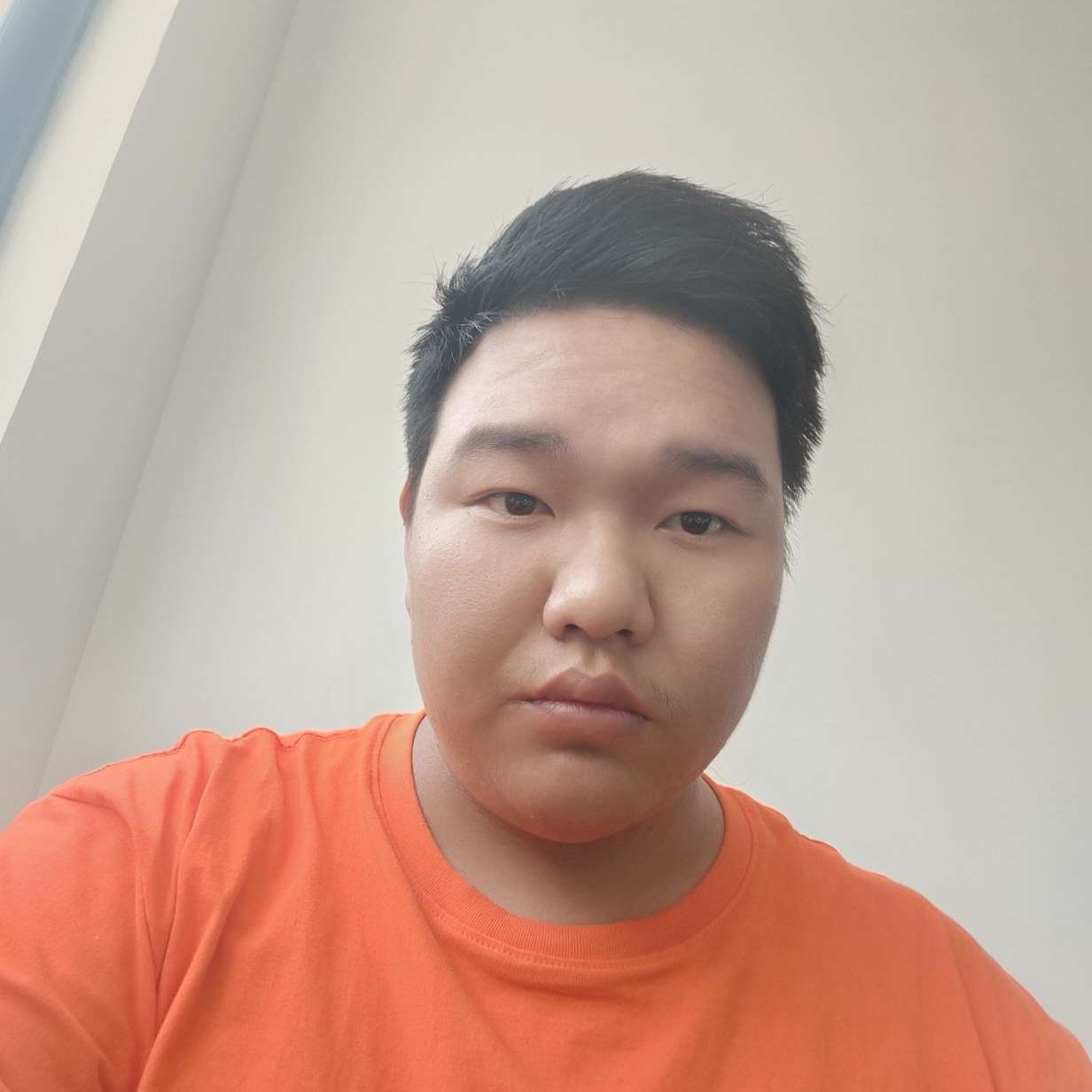 小葱炖豆腐的照片