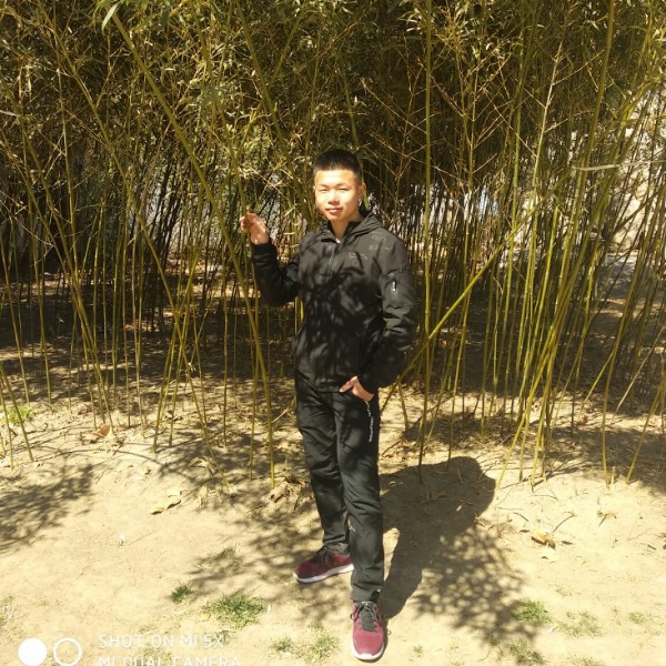 自行车闻帅气的照片
