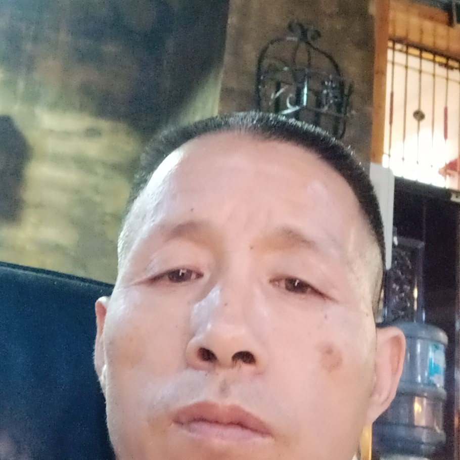 可爰松鼠的照片