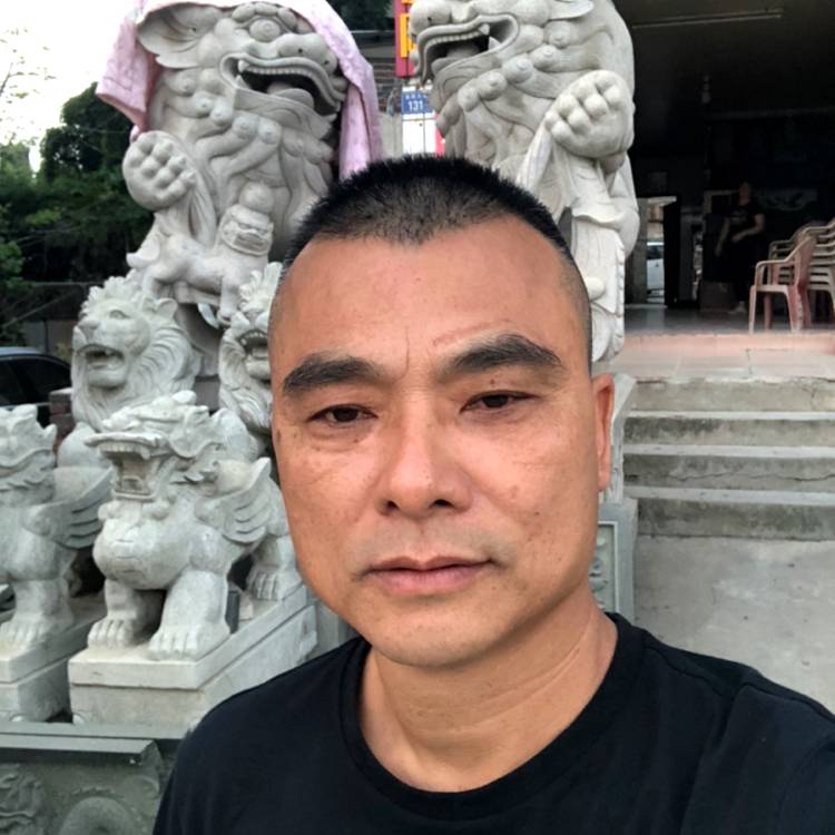虚幻浅吻小蚂蚁的照片