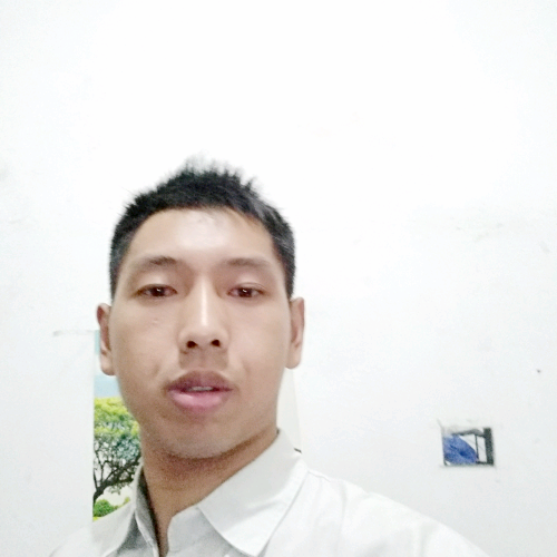 天翼之星的照片